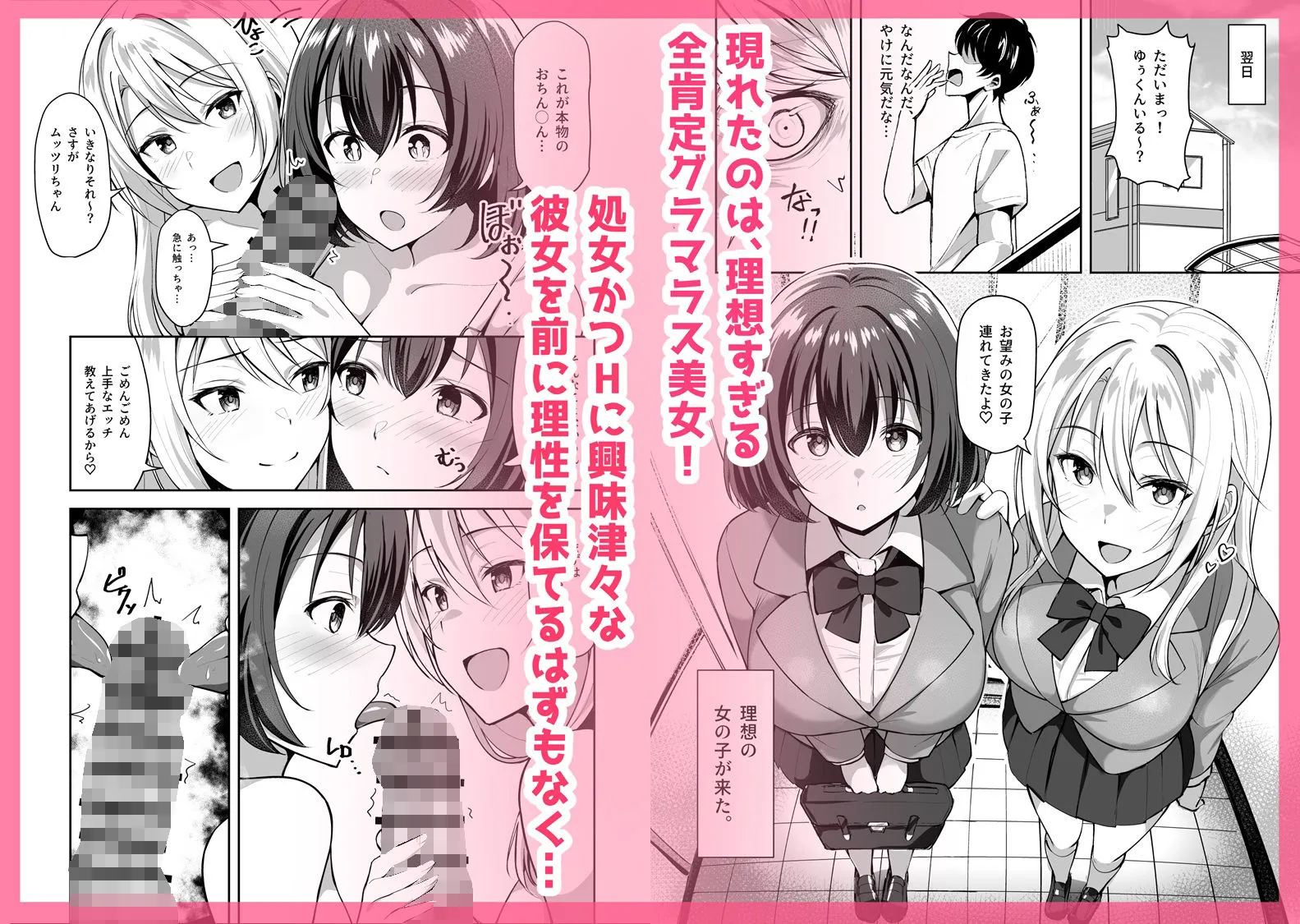 義姉(あね)が俺とHするために女の子を連れてくる