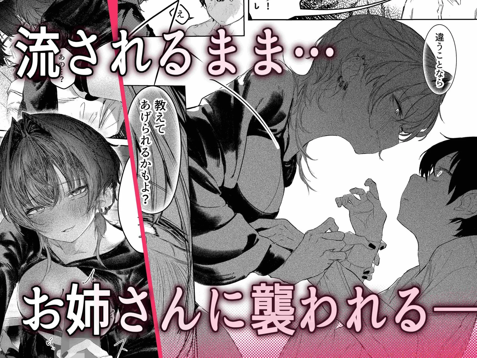 家出したらお姉さんに拾われる話