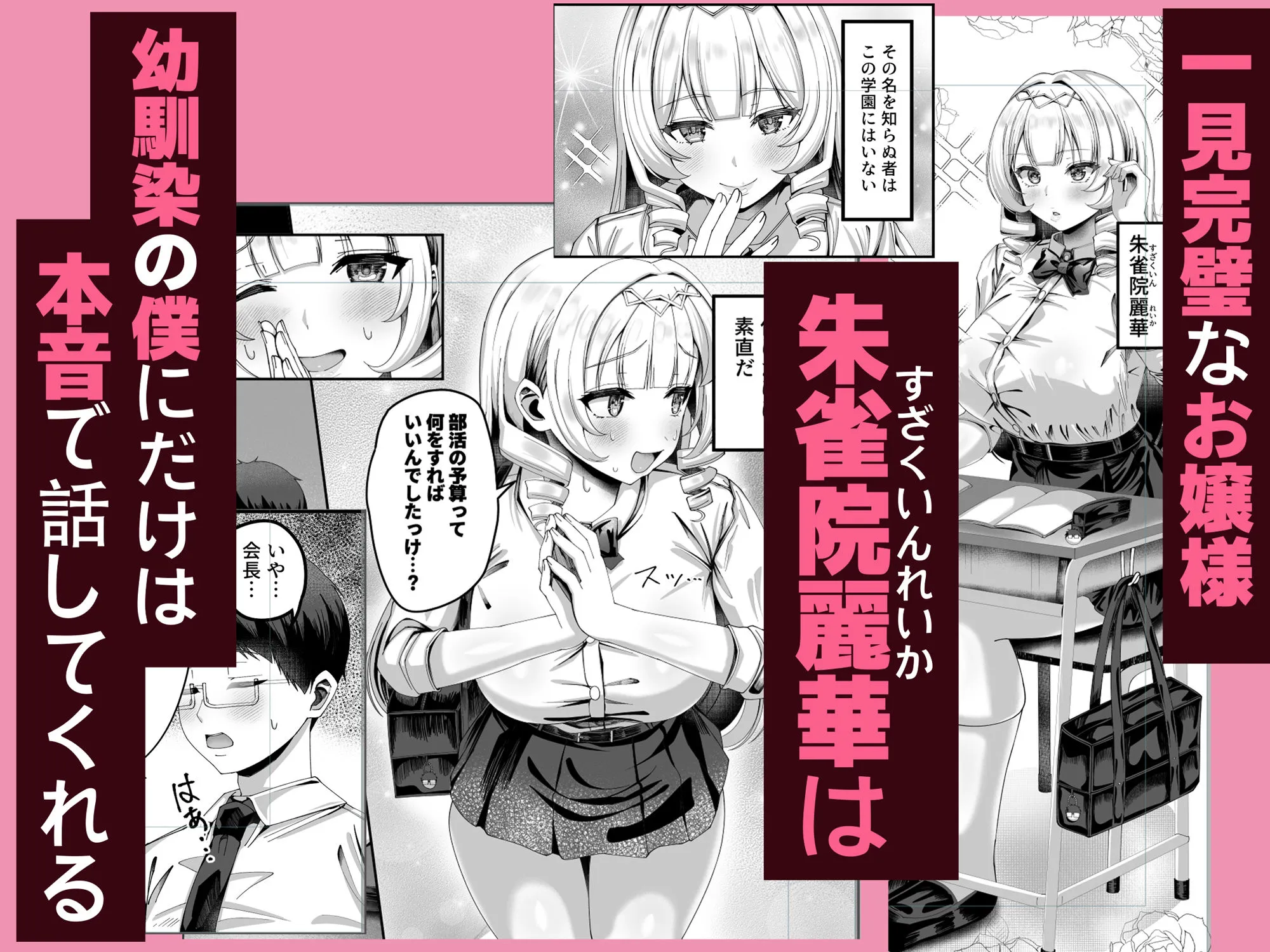 性知識にだけ無知すぎるお嬢様