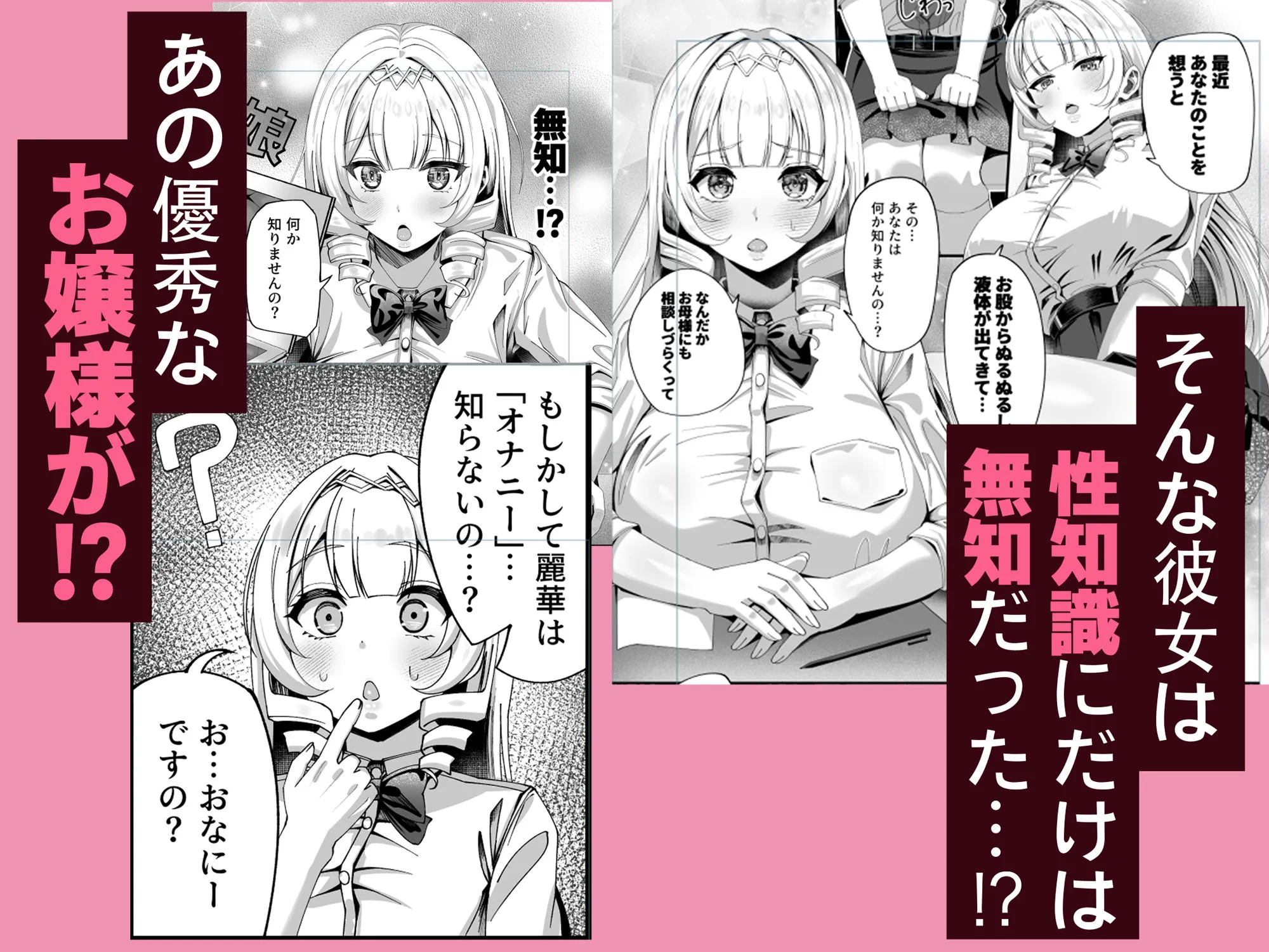 性知識にだけ無知すぎるお嬢様