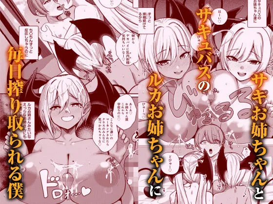 サキュバスと僕3 〜お姉ちゃんは僕だけの孕ませOKお嫁さん〜
