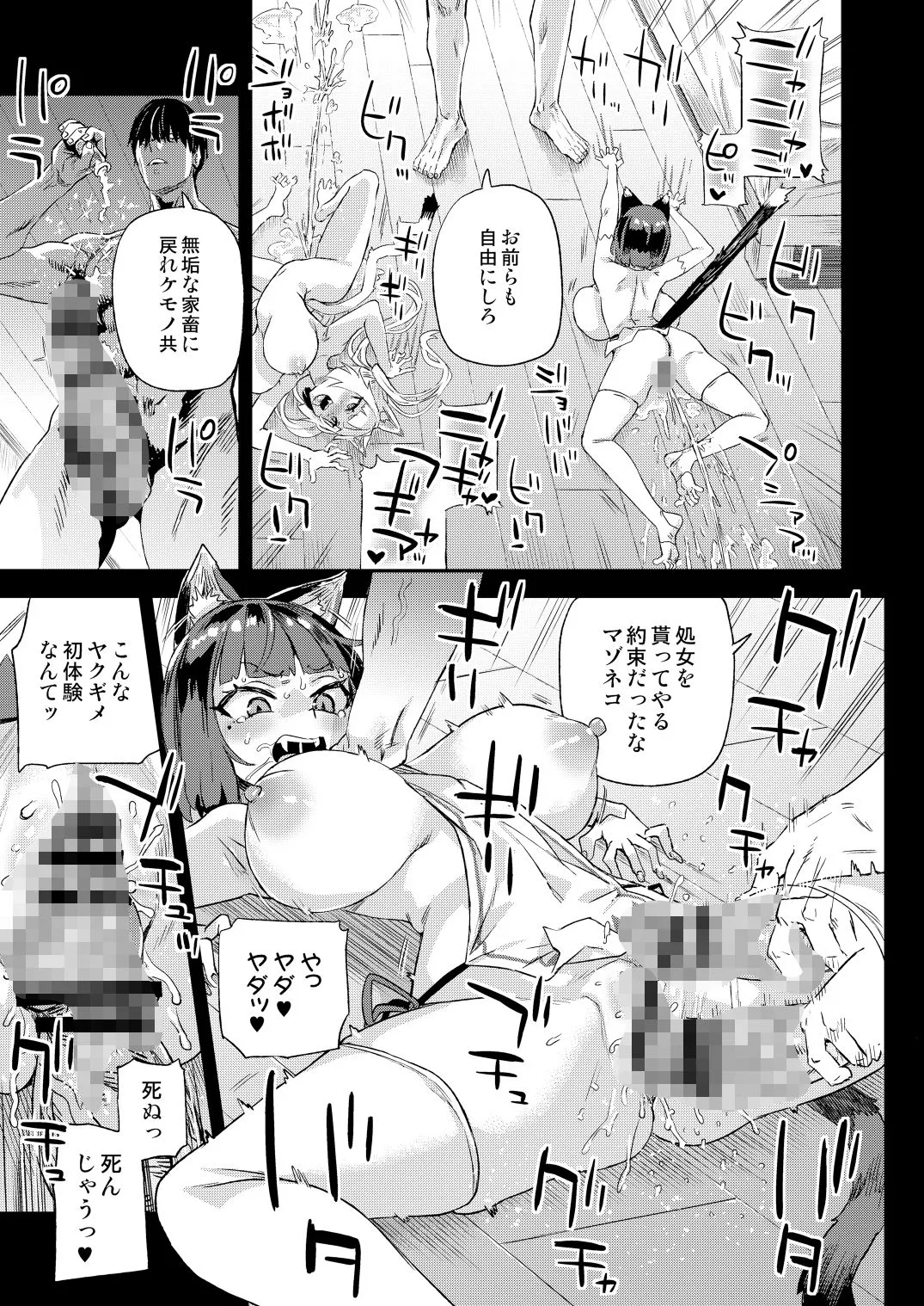 猫族娘はヒトを飼う。