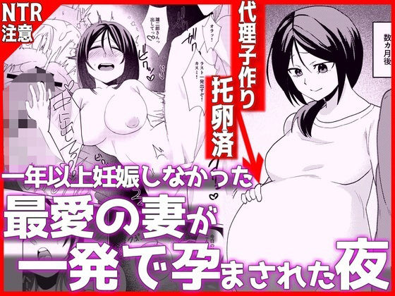 1年以上妊娠しなかった最愛の妻が一発で孕まされた夜(妊婦人妻・主婦の同人誌漫画)